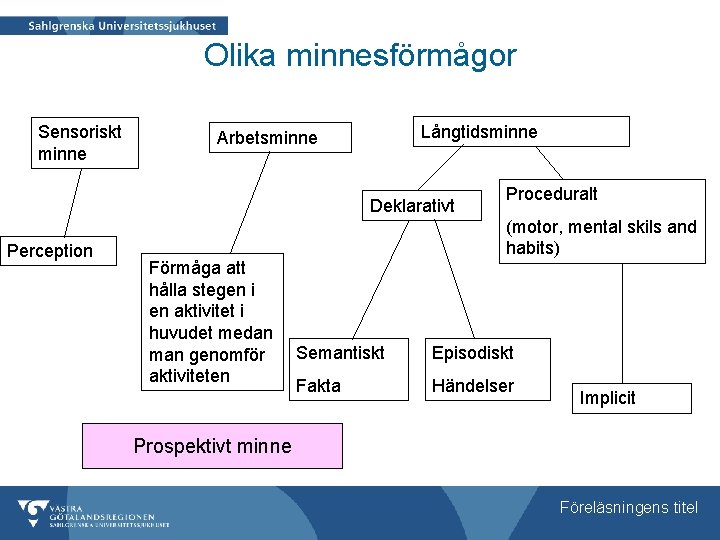 Olika minnesförmågor Sensoriskt minne Långtidsminne Arbetsminne Deklarativt Perception Förmåga att hålla stegen i en