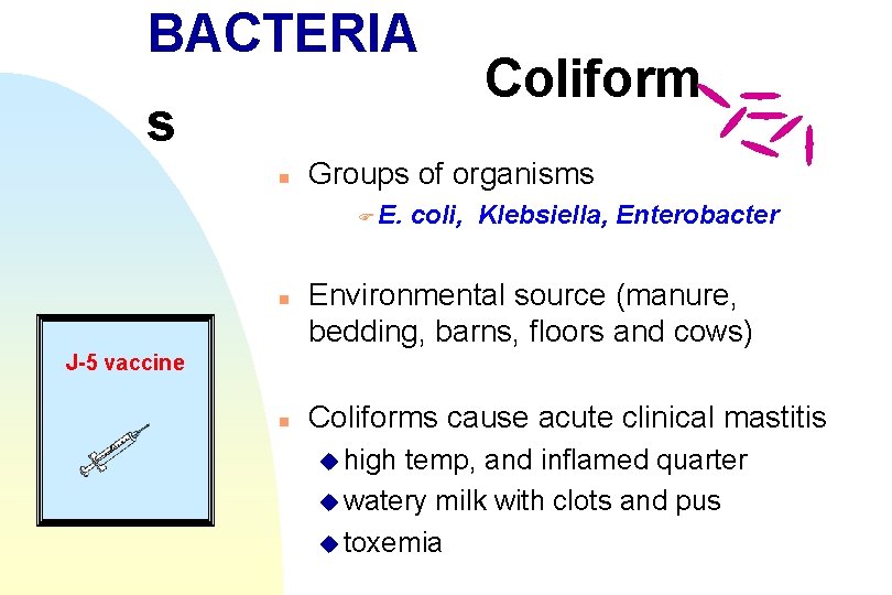 BACTERIA s n Groups of organisms F E. n Coliform coli, Klebsiella, Enterobacter Environmental