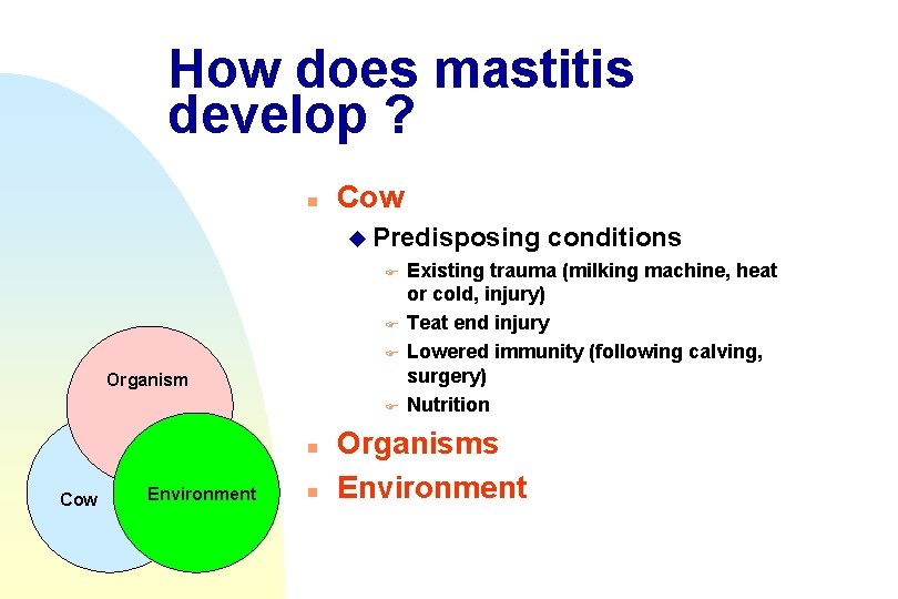 How does mastitis develop ? n u Predisposing conditions F Existing trauma (milking machine,