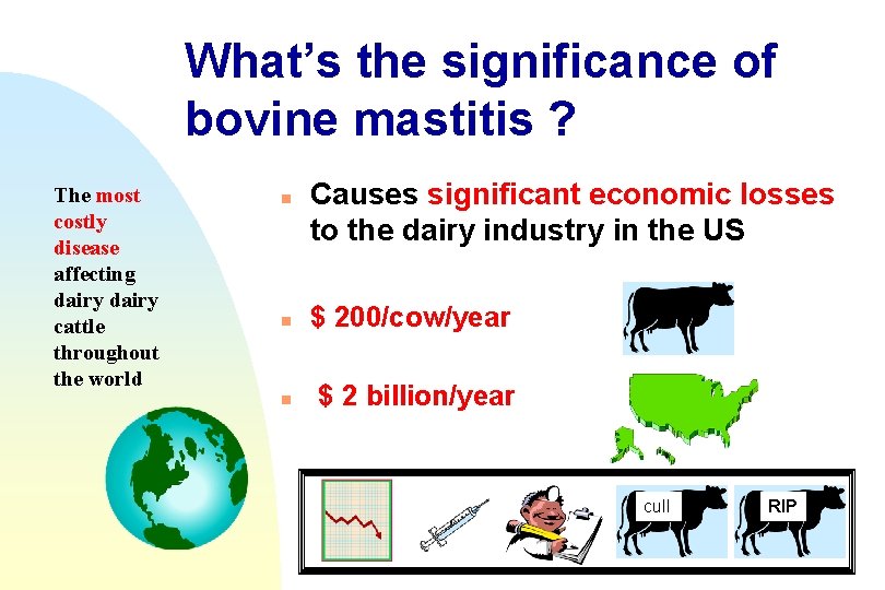 What’s the significance of bovine mastitis ? The most costly disease affecting dairy cattle