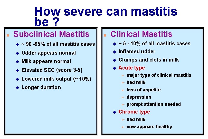 How severe can mastitis be ? n Subclinical Mastitis n Clinical Mastitis u ~