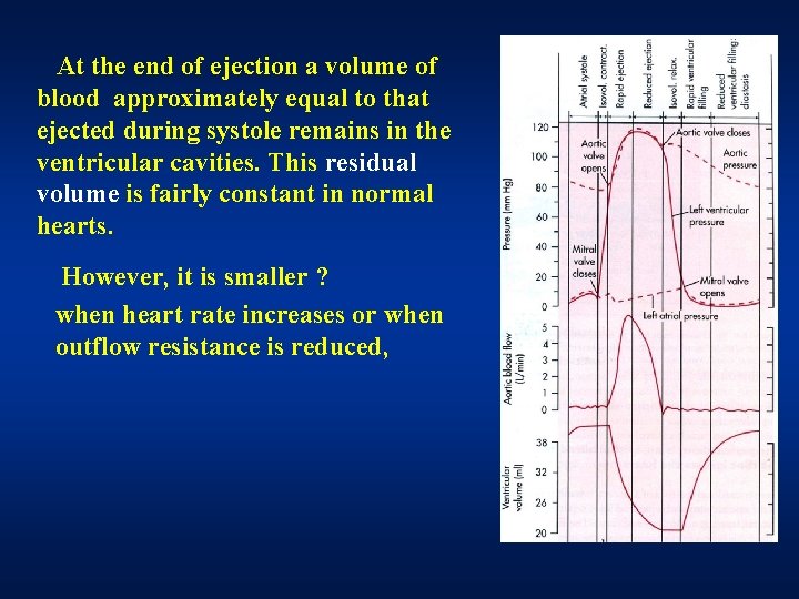 At the end of ejection a volume of blood approximately equal to that ejected At the end of ejection a volume of blood approximately equal to that ejected