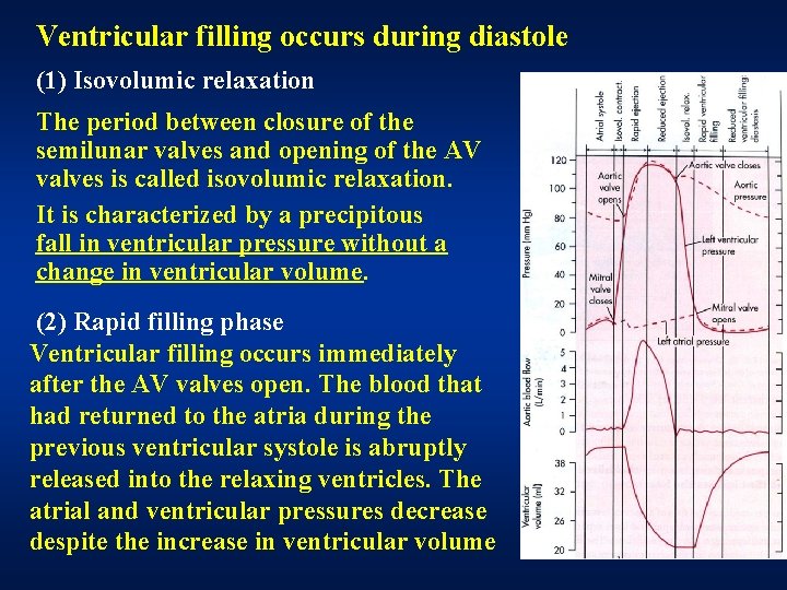 Ventricular filling occurs during diastole (1) Isovolumic relaxation The period between closure of the Ventricular filling occurs during diastole (1) Isovolumic relaxation The period between closure of the