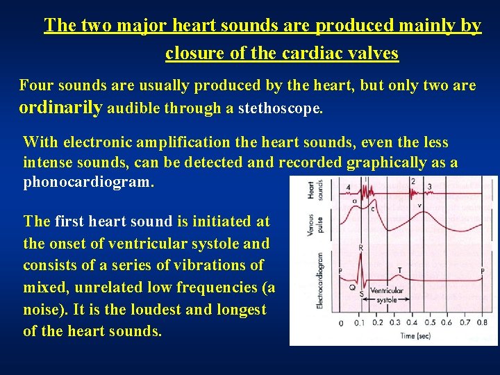 The two major heart sounds are produced mainly by closure of the cardiac valves The two major heart sounds are produced mainly by closure of the cardiac valves