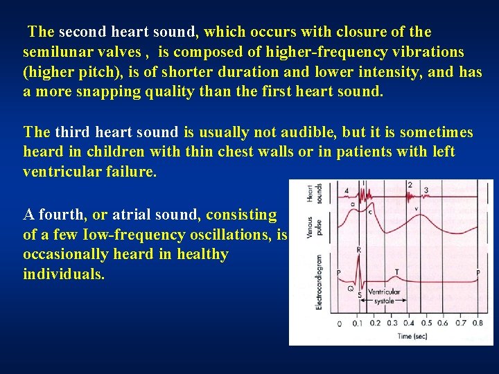 The second heart sound, which occurs with closure of the semilunar valves , is The second heart sound, which occurs with closure of the semilunar valves , is