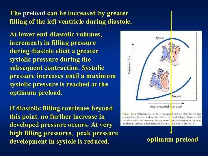 The preload can be increased by greater filling of the left ventricle during diastole. The preload can be increased by greater filling of the left ventricle during diastole.