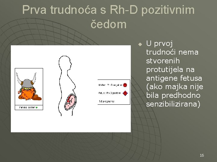 Prva trudnoća s Rh-D pozitivnim čedom u U prvoj trudnoći nema stvorenih protutijela na