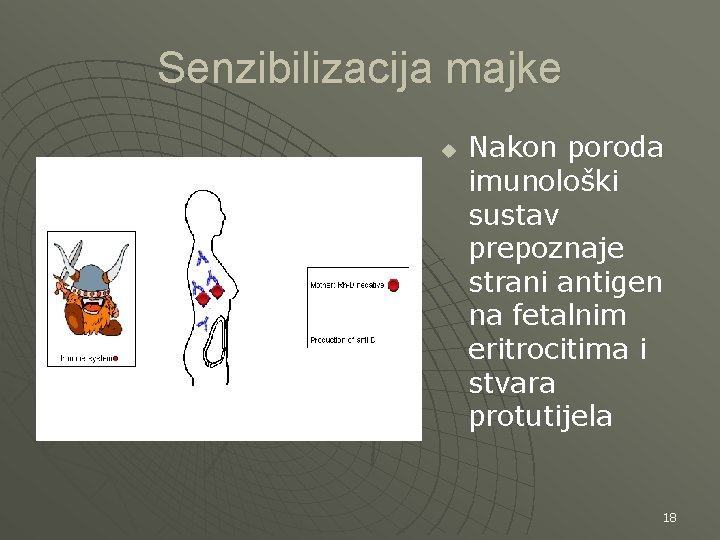 Senzibilizacija majke u Nakon poroda imunološki sustav prepoznaje strani antigen na fetalnim eritrocitima i