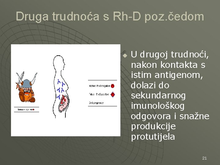 Druga trudnoća s Rh-D poz. čedom u U drugoj trudnoći, nakon kontakta s istim