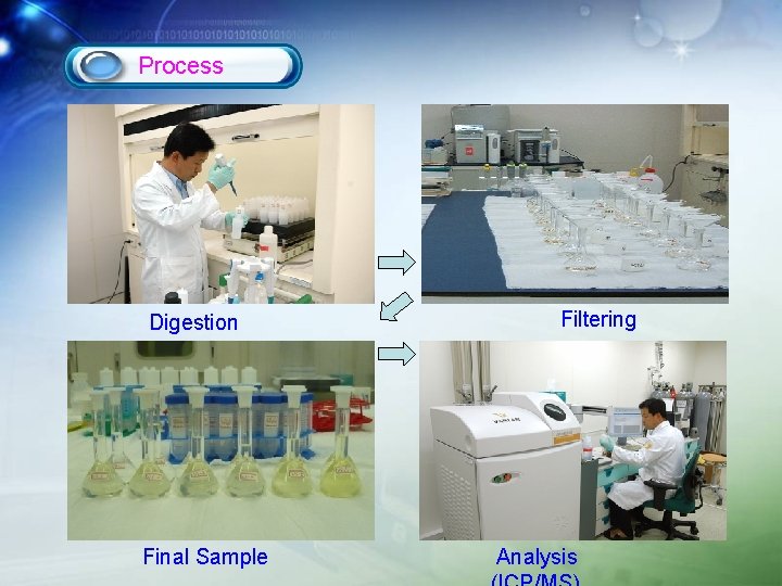 Process Digestion Final Sample Filtering Analysis 