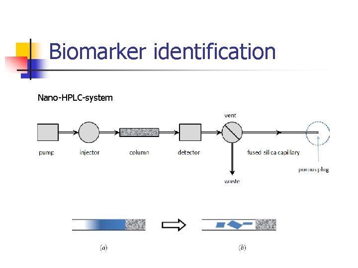 Biomarker identification Nano-HPLC-system 