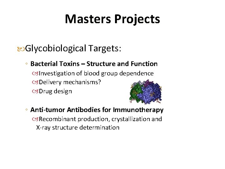 Masters Projects Glycobiological Targets: ◦ Bacterial Toxins – Structure and Function Investigation of blood
