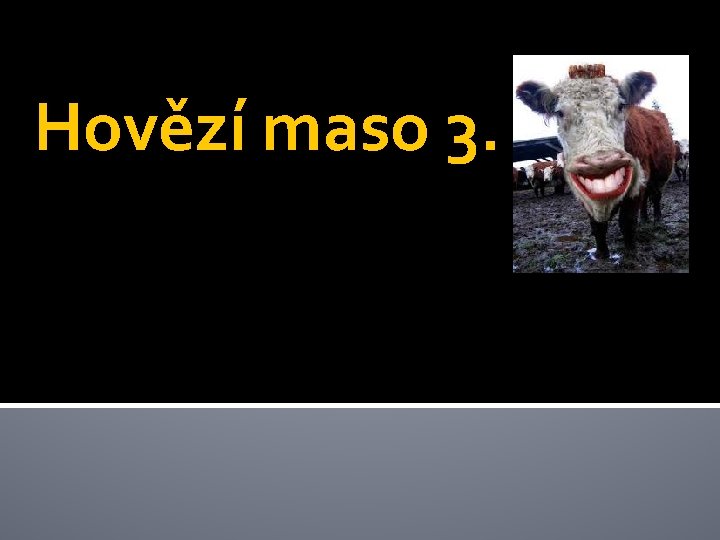 Hovězí maso 3. 