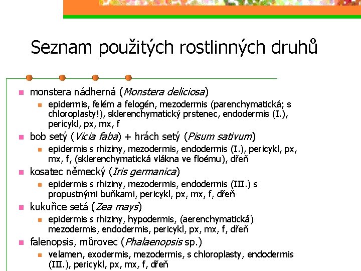 Seznam použitých rostlinných druhů monstera nádherná (Monstera deliciosa) bob setý (Vicia faba) + hrách