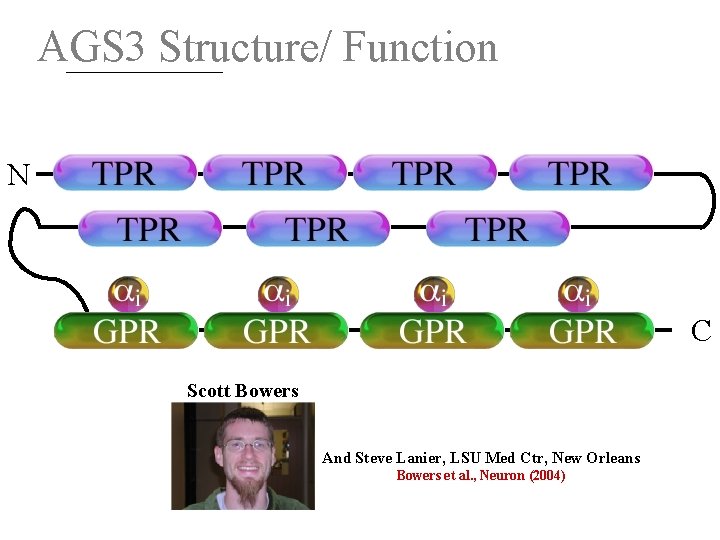 AGS 3 Structure/ Function N C Scott Bowers And Steve Lanier, LSU Med Ctr,