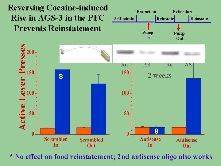 Active Lever Presses Reversing Cocaine-induced Rise in AGS-3 in the PFC Prevents Reinstatement Reinstate