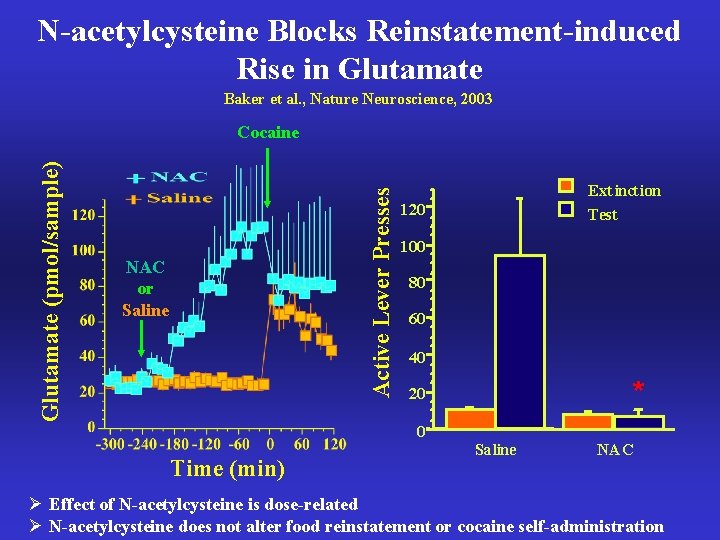 N-acetylcysteine Blocks Reinstatement-induced Rise in Glutamate Baker et al. , Nature Neuroscience, 2003 Active