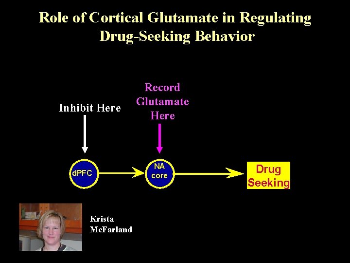 Role of Cortical Glutamate in Regulating Drug-Seeking Behavior Inhibit Here d. PFC Krista Mc.