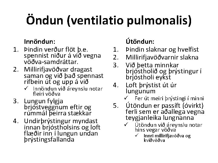Öndun (ventilatio pulmonalis) Innöndun: 1. Þindin verður flöt þ. e. spennist niður á við
