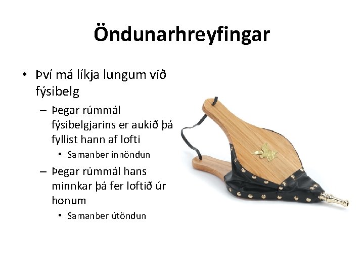 Öndunarhreyfingar • Því má líkja lungum við fýsibelg – Þegar rúmmál fýsibelgjarins er aukið