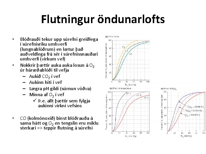 Flutningur öndunarlofts • • • Blóðrauði tekur upp súrefni greiðlega í súrefnisríku umhverfi (lungnablöðrum)