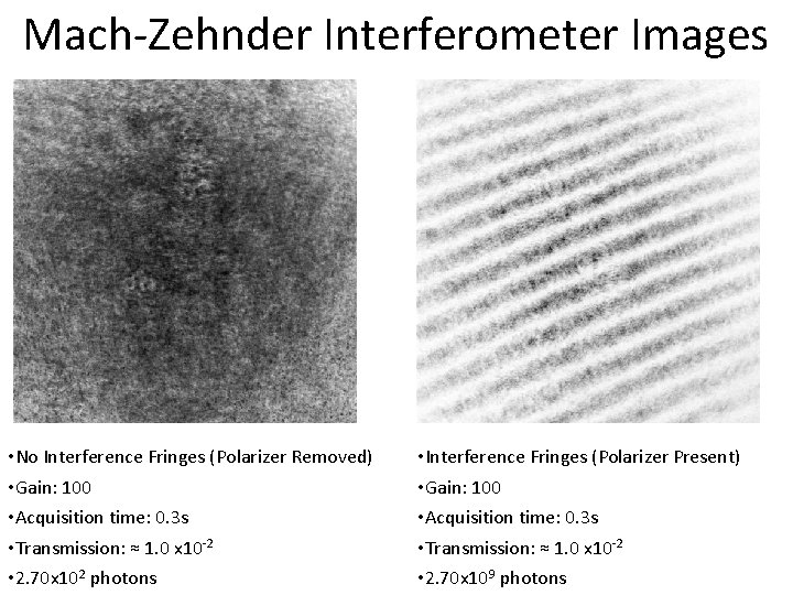 Mach-Zehnder Interferometer Images • No Interference Fringes (Polarizer Removed) • Gain: 100 • Acquisition