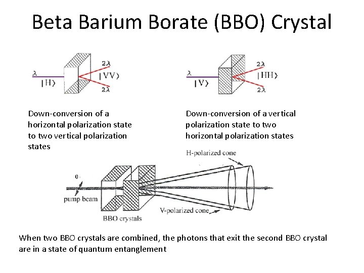 Beta Barium Borate (BBO) Crystal Down-conversion of a horizontal polarization state to two vertical