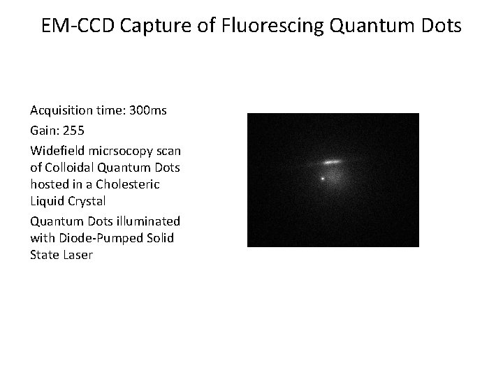 EM-CCD Capture of Fluorescing Quantum Dots Acquisition time: 300 ms Gain: 255 Widefield micrsocopy