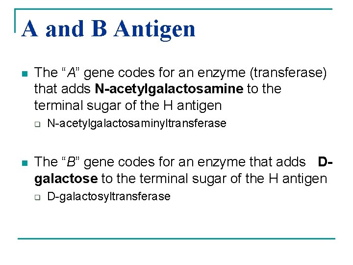 A and B Antigen n The “A” gene codes for an enzyme (transferase) that