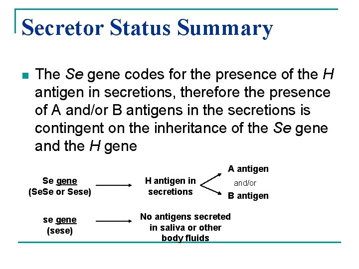 Secretor Status Summary n The Se gene codes for the presence of the H