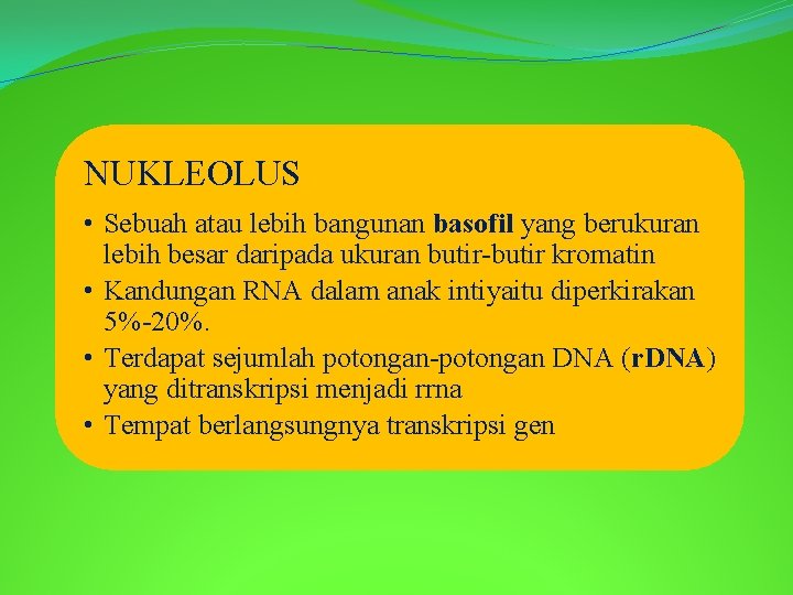 NUKLEOLUS • Sebuah atau lebih bangunan basofil yang berukuran lebih besar daripada ukuran butir-butir