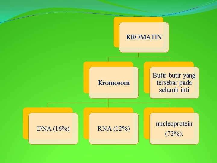 KROMATIN DNA (16%) Kromosom Butir-butir yang tersebar pada seluruh inti RNA (12%) nucleoprotein (72%).