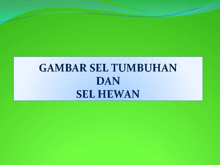 GAMBAR SEL TUMBUHAN DAN SEL HEWAN 