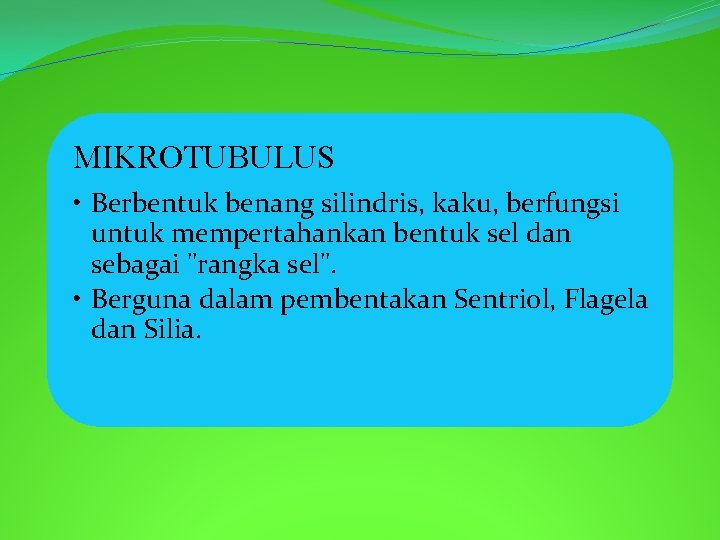 MIKROTUBULUS • Berbentuk benang silindris, kaku, berfungsi untuk mempertahankan bentuk sel dan sebagai "rangka