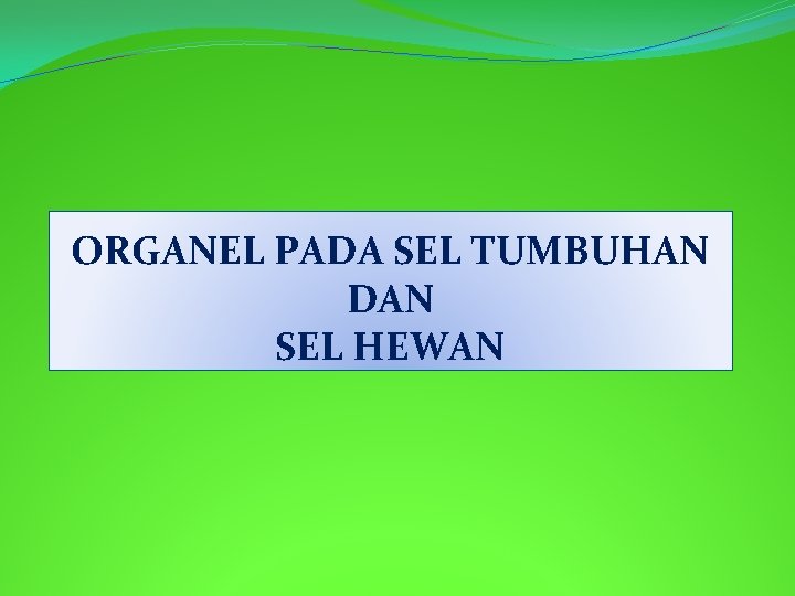 ORGANEL PADA SEL TUMBUHAN DAN SEL HEWAN 