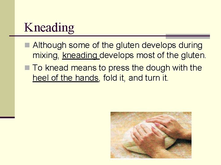 Kneading n Although some of the gluten develops during mixing, kneading develops most of