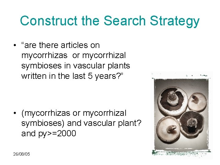 Construct the Search Strategy • “are there articles on mycorrhizas or mycorrhizal symbioses in