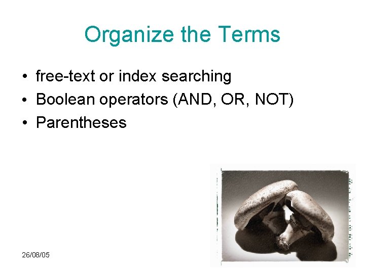 Organize the Terms • free-text or index searching • Boolean operators (AND, OR, NOT)