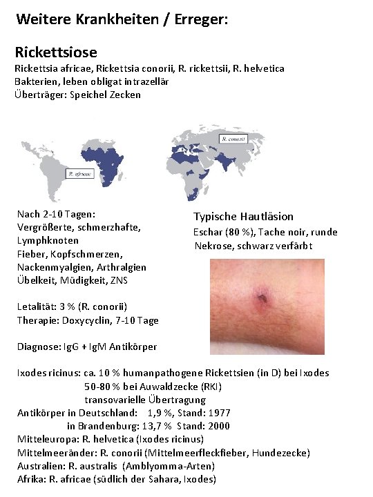 Weitere Krankheiten / Erreger: Rickettsiose Rickettsia africae, Rickettsia conorii, R. rickettsii, R. helvetica Bakterien,