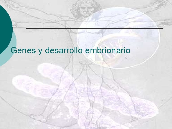 Genes y desarrollo embrionario 