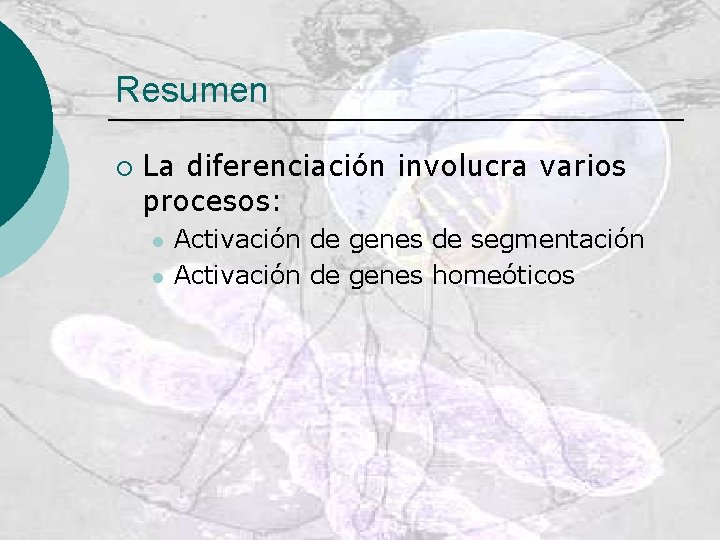 Resumen ¡ La diferenciación involucra varios procesos: l l Activación de genes de segmentación