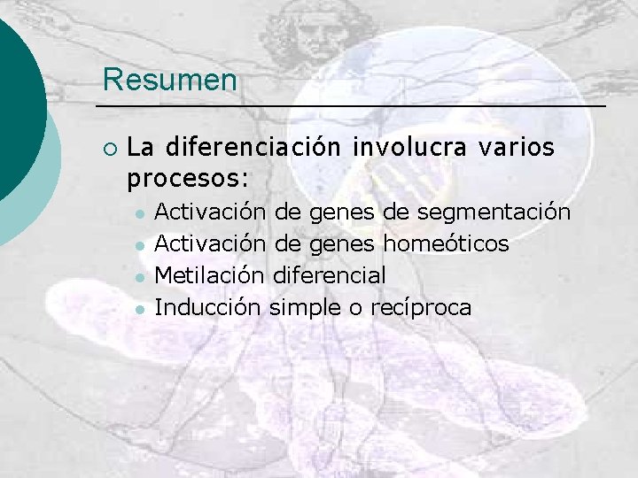 Resumen ¡ La diferenciación involucra varios procesos: l l Activación de genes de segmentación