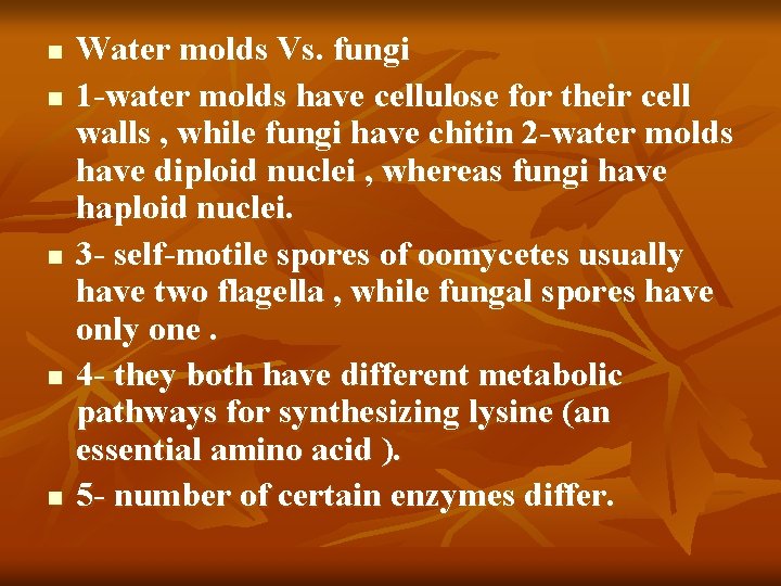 n n n Water molds Vs. fungi 1 -water molds have cellulose for their