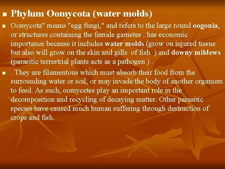 n n n Phylum Oomycota (water molds) Oomycota" means "egg fungi, " and refers