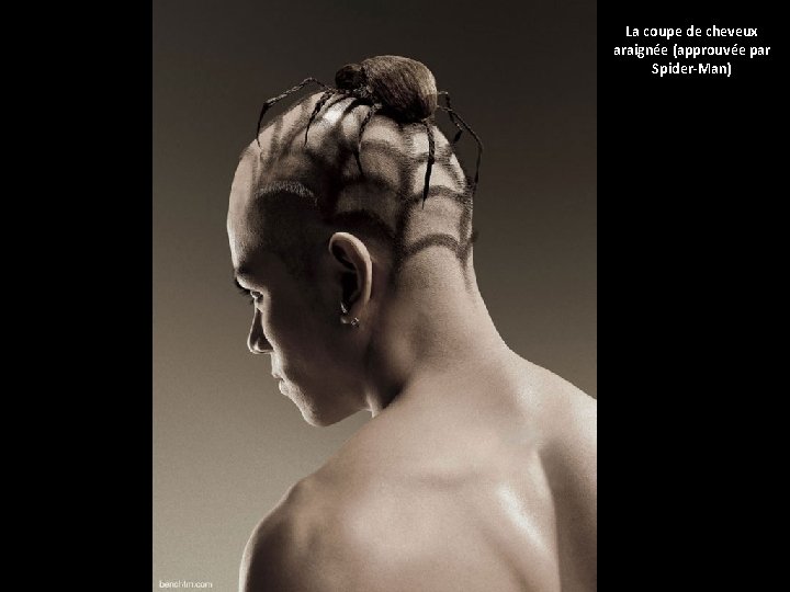 La coupe de cheveux araignée (approuvée par Spider-Man) 