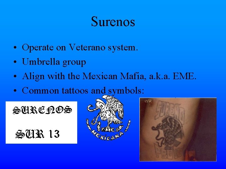 Surenos • • Operate on Veterano system. Umbrella group Align with the Mexican Mafia,