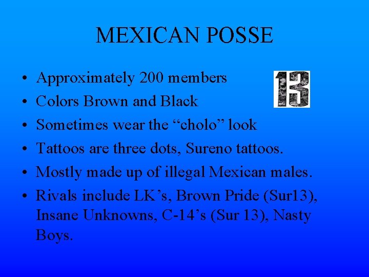 MEXICAN POSSE • • • Approximately 200 members Colors Brown and Black Sometimes wear