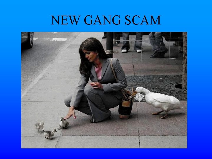 NEW GANG SCAM 