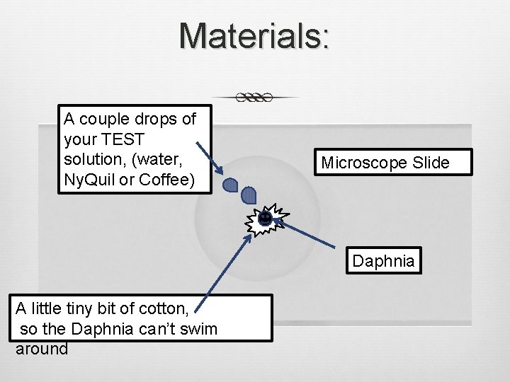 Materials: A couple drops of your TEST solution, (water, Ny. Quil or Coffee) Microscope