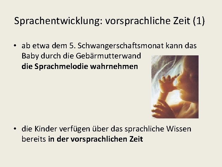 Sprachentwicklung: vorsprachliche Zeit (1) • ab etwa dem 5. Schwangerschaftsmonat kann das Baby durch